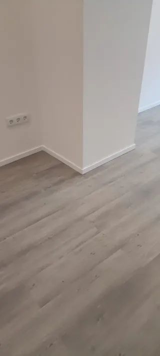 Pladur, y pintura.parquet