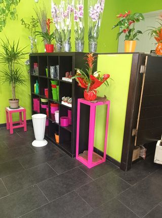 Mobiliario y cámara frigorífica floristería