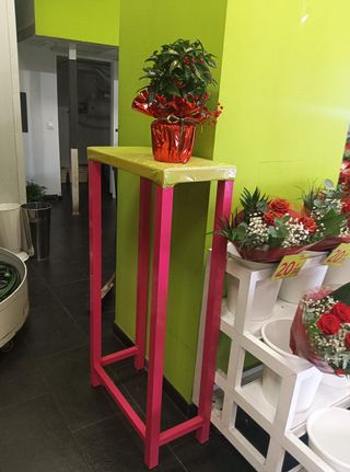 Mobiliario y cámara frigorífica floristería