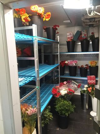 Mobiliario y cámara frigorífica floristería