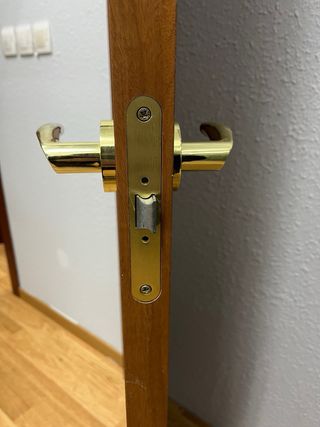 Puertas de Madera Marrón 203x72