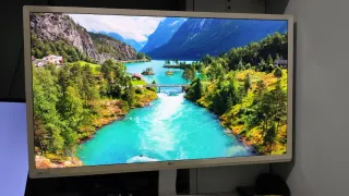 Monitor LG 24 LED IPS Blanco 24MP58VQ