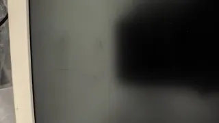 Monitor LG 24 LED IPS Blanco 24MP58VQ