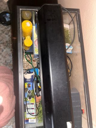 Pecera con accesorios