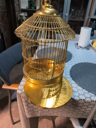 Jaula dorada para pájaros