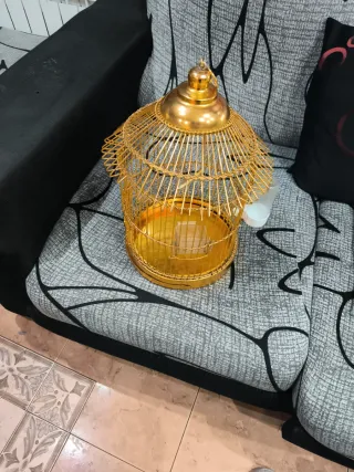 Jaula dorada para pájaros