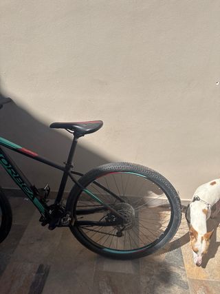 Bicicleta Orbea