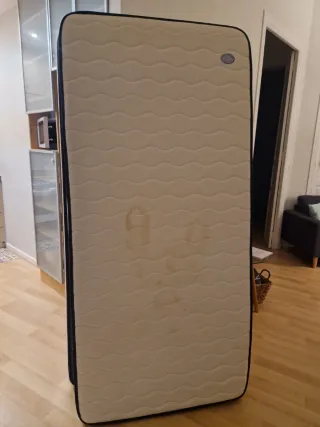 2 Camas Individuales con Colchones de REGALO