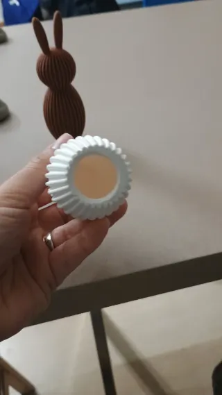 Conigli porta ovette in pla