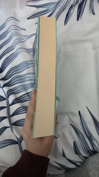 Culpa tuya (Culpables 2)