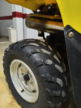 Neumáticos Pirelli Buster 25/10/12 ATV