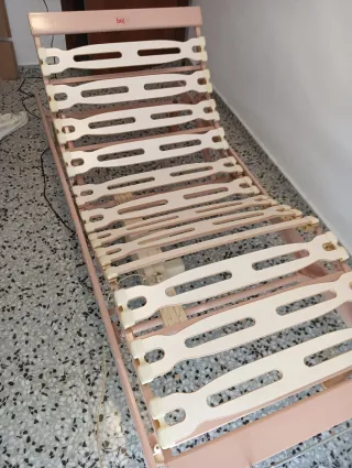 Cama ortopédica Dorwin eléctrica