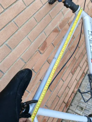 Bicicleta trekking  talla grande