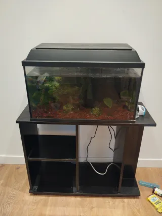 Acuario con mesa negra