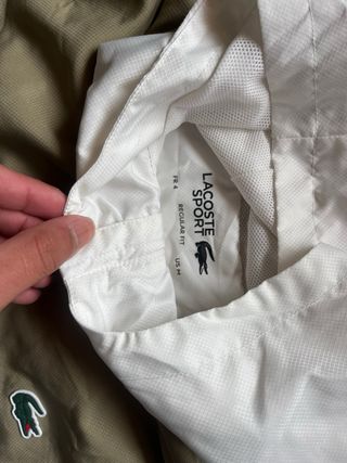 Conjunto Deportivo Lacoste Beige y Azul