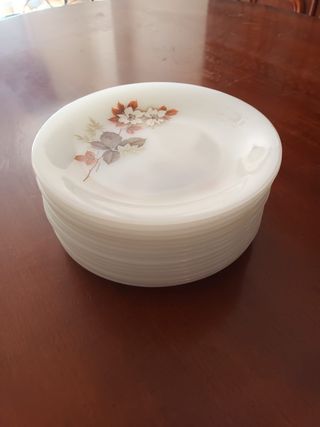 Set de platos de vidrio y porcelana.