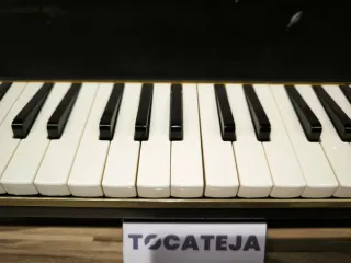 Suzuki Melodion M-37