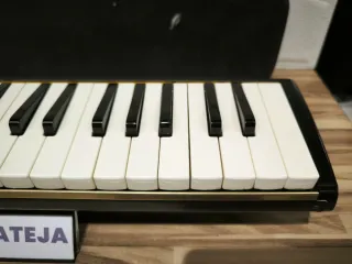 Suzuki Melodion M-37