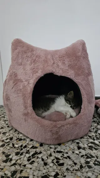 Cama Iglú Gato Anti-Estrés Leeby Rosa