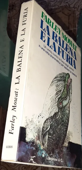 La balena e la furia