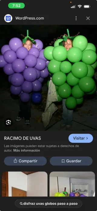 Disfraz de Uvas para Niños