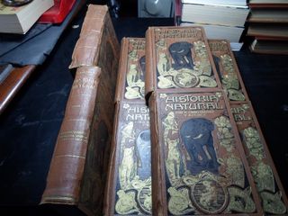 ANTIGUA-Lote 8 Tomos Historia Natural 1915