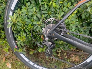 Bicicleta Specialized Roubaix Carbono