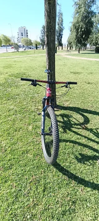 Bicicleta Montaña Wilier Urta SLR Talla L