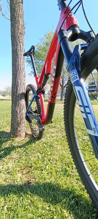 Bicicleta Montaña Wilier Urta SLR Talla L