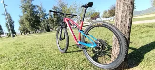 Bicicleta Montaña Wilier Urta SLR Talla L