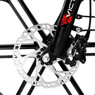 Fat Bike Pieghevole Victrip T5 250W 48V