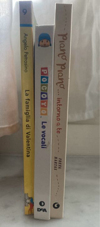 Lotto 17  libri vari