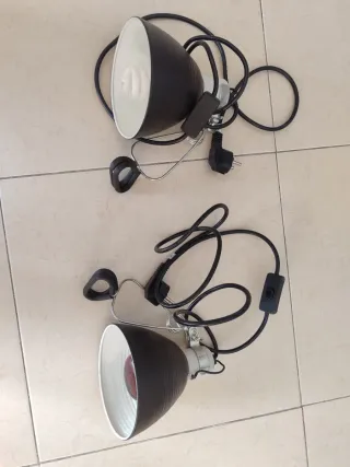 Focos de Calor y Luz para Reptiles