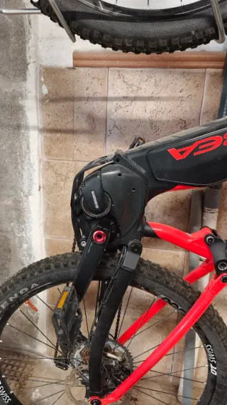 Orbea Wild fs 2019