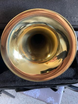 Trompeta Pocket dorada con funda