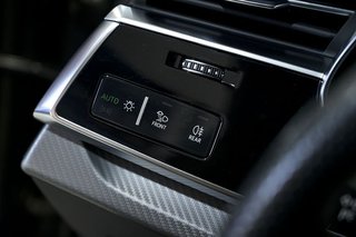 Audi Q8   RS  TFSI 441kW 600CV quattro tipt