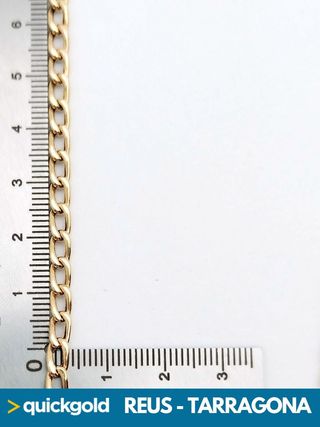 035-02-00409 GARGANTILLA ORO 18K CIRCONITAS 50CM
