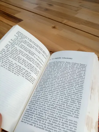 Libro "La hoguera de las vanidades"