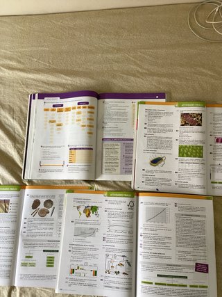 Pack 4 ESO Libros de Texto