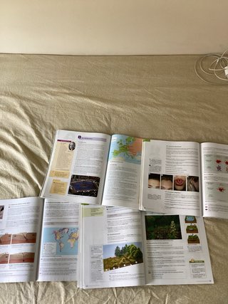 Pack 4 ESO Libros de Texto