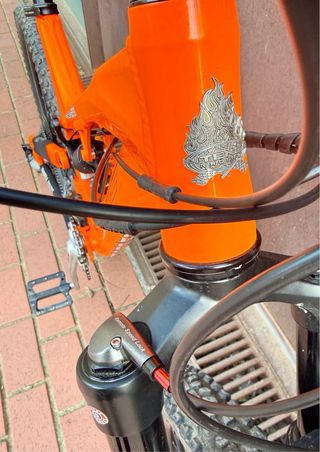 INTENSE TRACER 275. Mullet . T / L