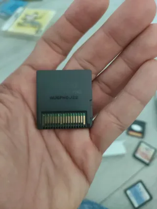 Nintendo DS Sight Training y Platinum Sudoku