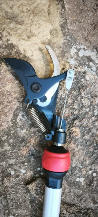 Podadora telescópica manual