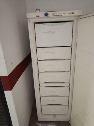 CONGELADOR,SECADORA, HORNO