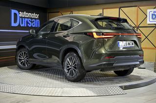 Lexus NX   350h Business City 2WD
