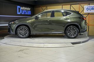 Lexus NX   350h Business City 2WD