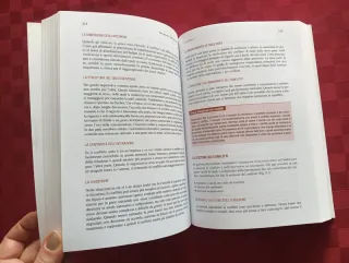 Comportamento organizzativo. Attori, relazioni,...