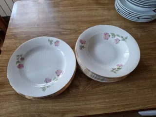 Vajilla de porcelana con flores rosas