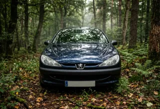 Peugeot 206 ETIQUETA C