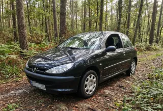 Peugeot 206 ETIQUETA C